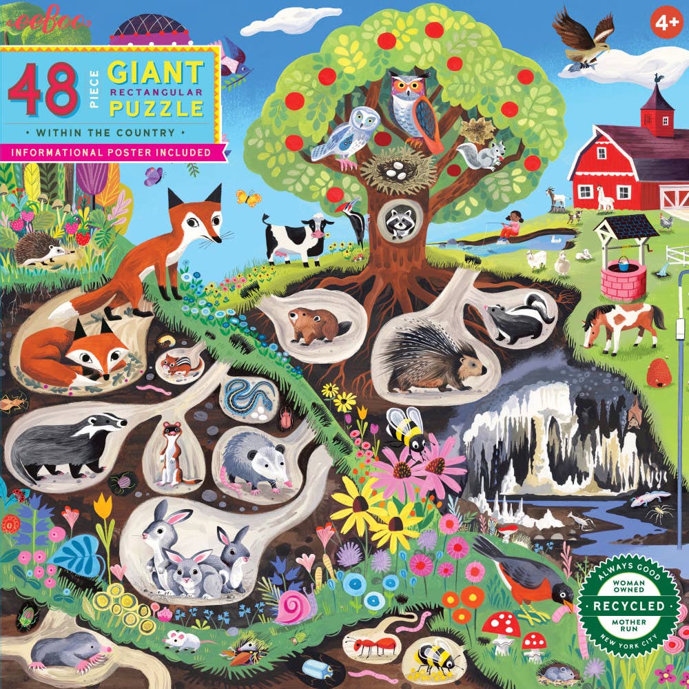 EeBoo 48 Pc Puzzle - Within the Country