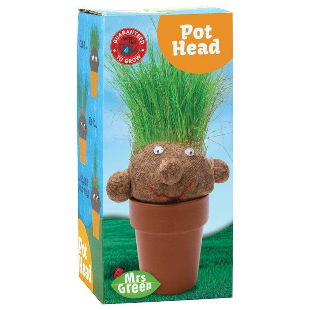 Heebie Jeebies - Pot Head | Grass Growing Head | Plant Head