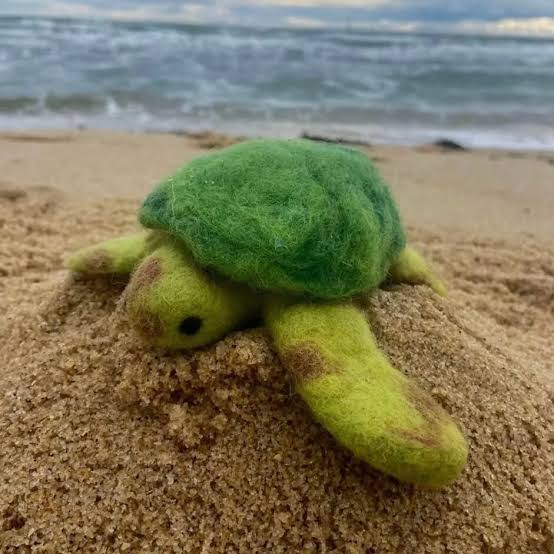 Sea Turtle Felt - Himalayan Felt Co
