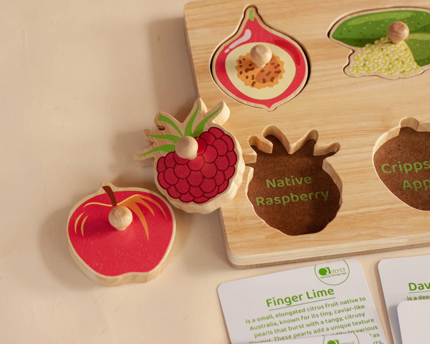 Q Toys - Australian Native Fruit Puzzle