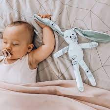 Jellystone Cuddle Bunny