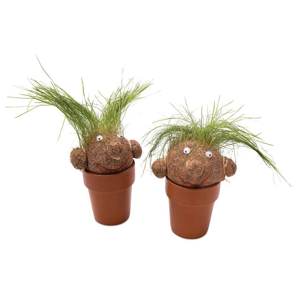 Heebie Jeebies - Pot Head | Grass Growing Head | Plant Head