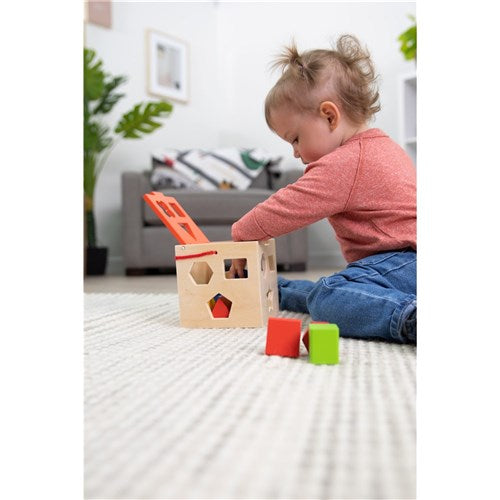 Noah's Ark Sort & Play Set