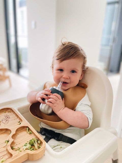 Lion & Lady - Toddler Straw Cup