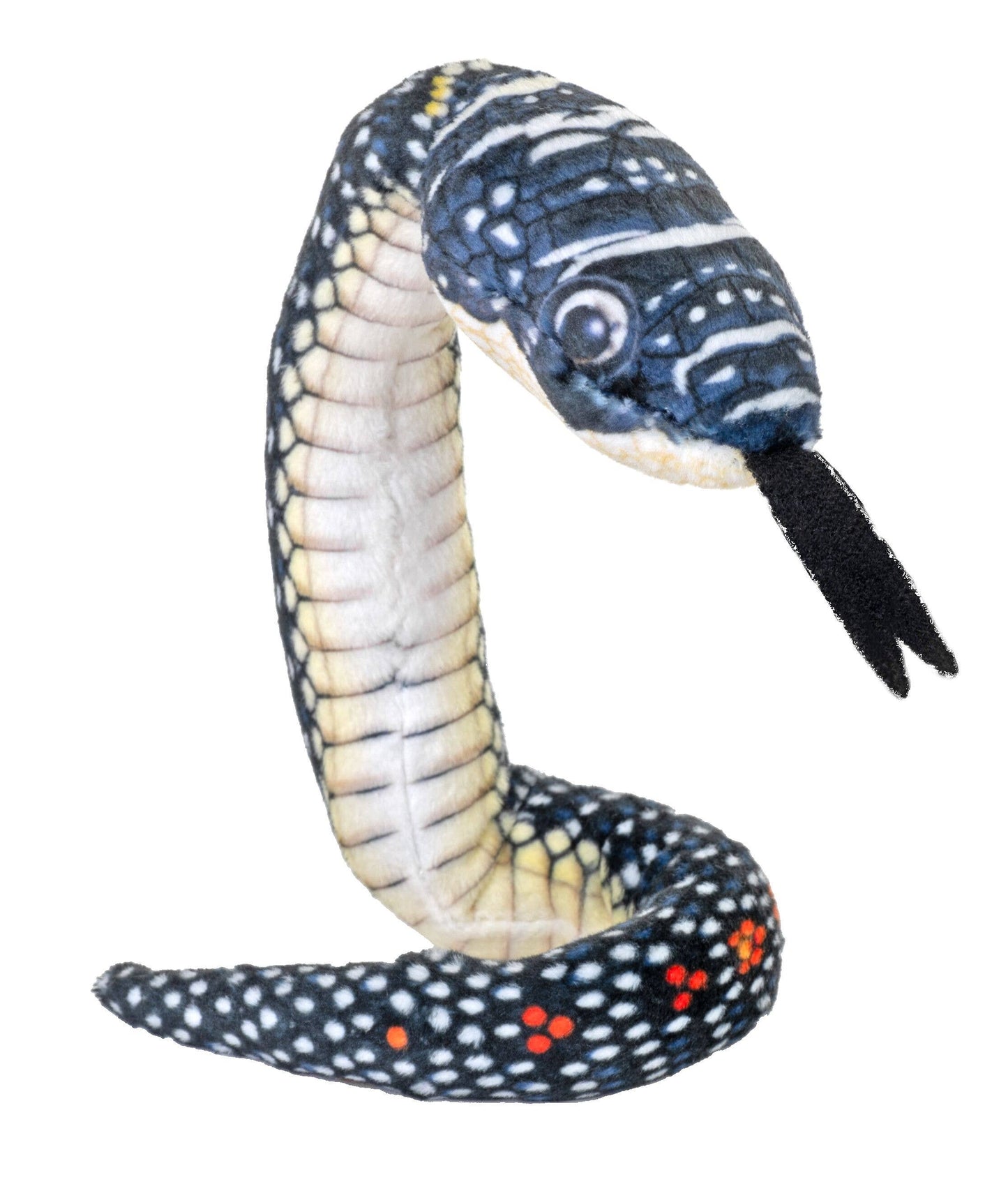 Coilkins Snake Paradise Flying Snake