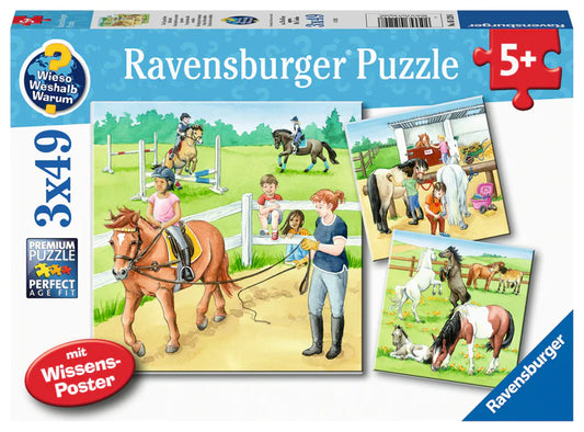 A Day at the Stables Puzzle 3x49pc
