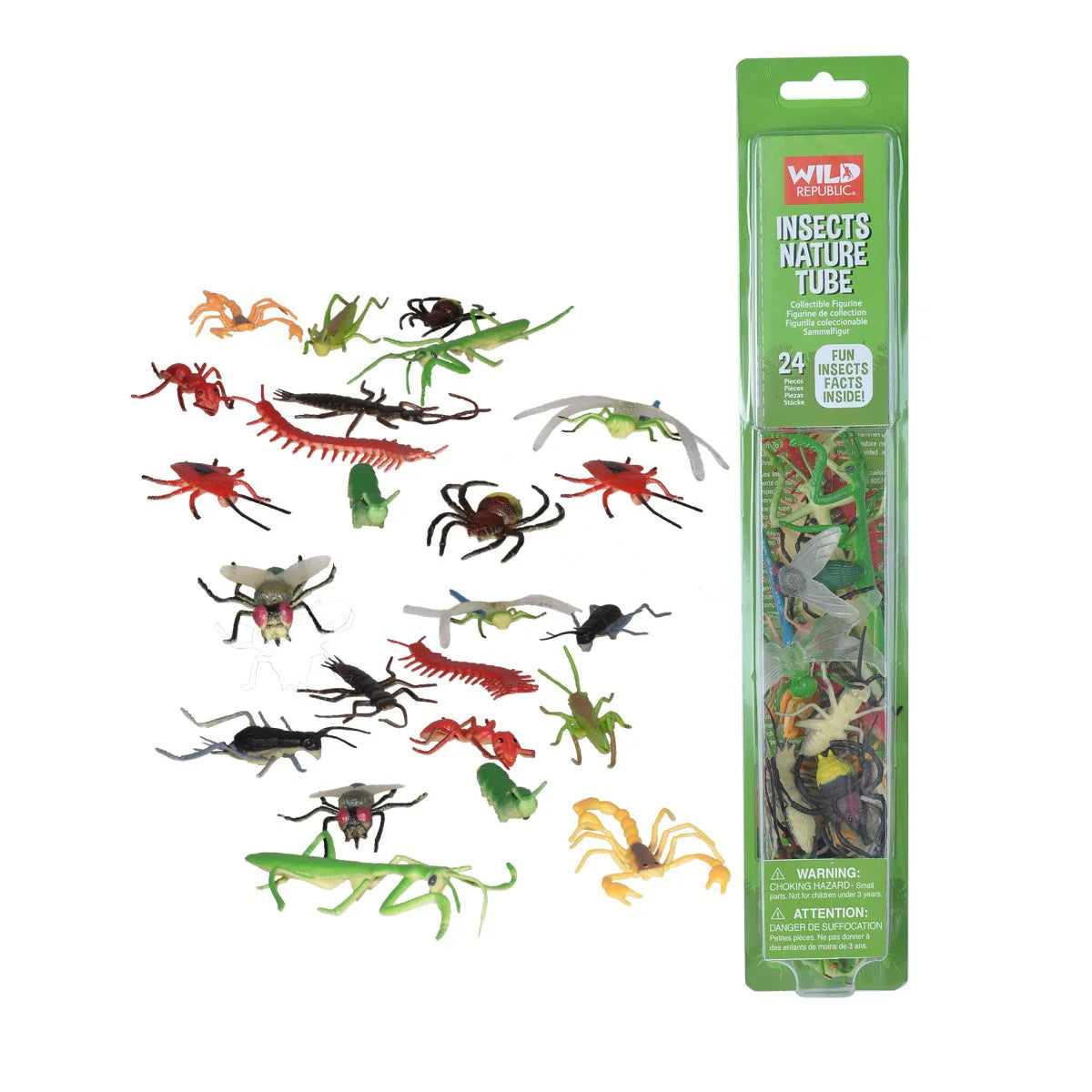 Nature Tube Insect Collection