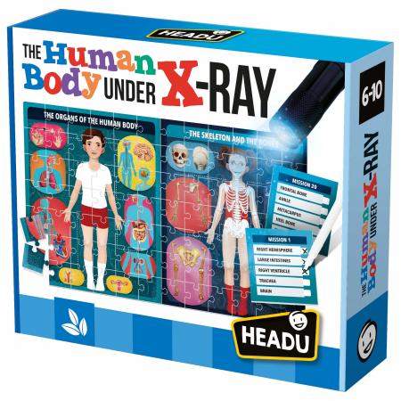 Human Body Under X-Ray - Headu