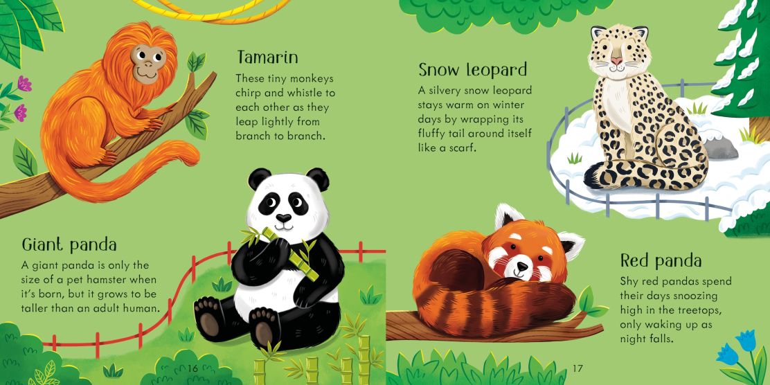 Zoo Matching Game & Book