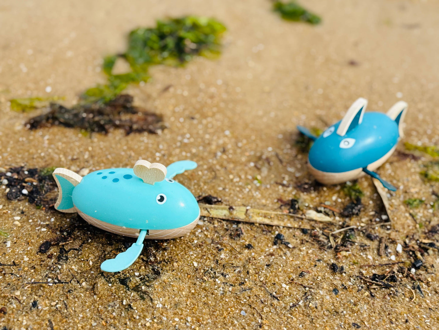 Wind-Up Water Shark & Whale