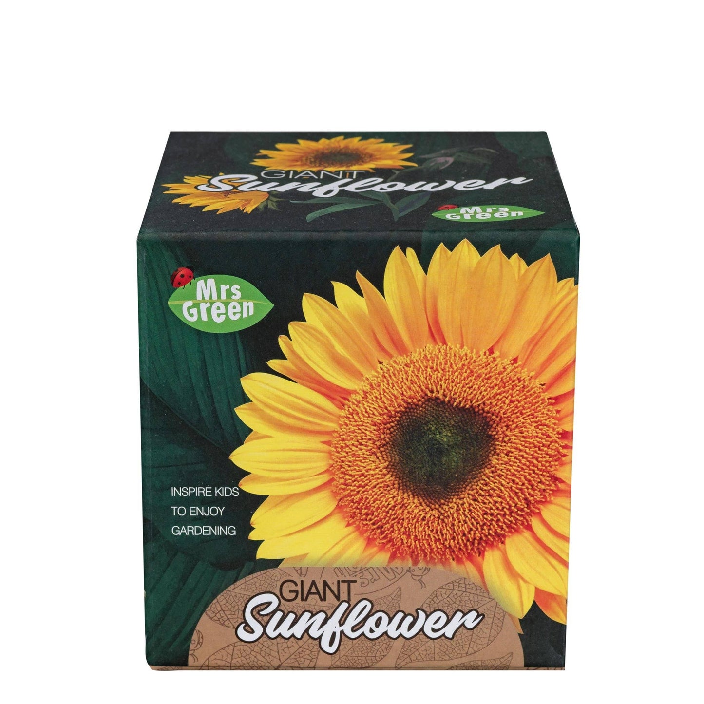 Giant Sunflower - Grow your own Sunflower