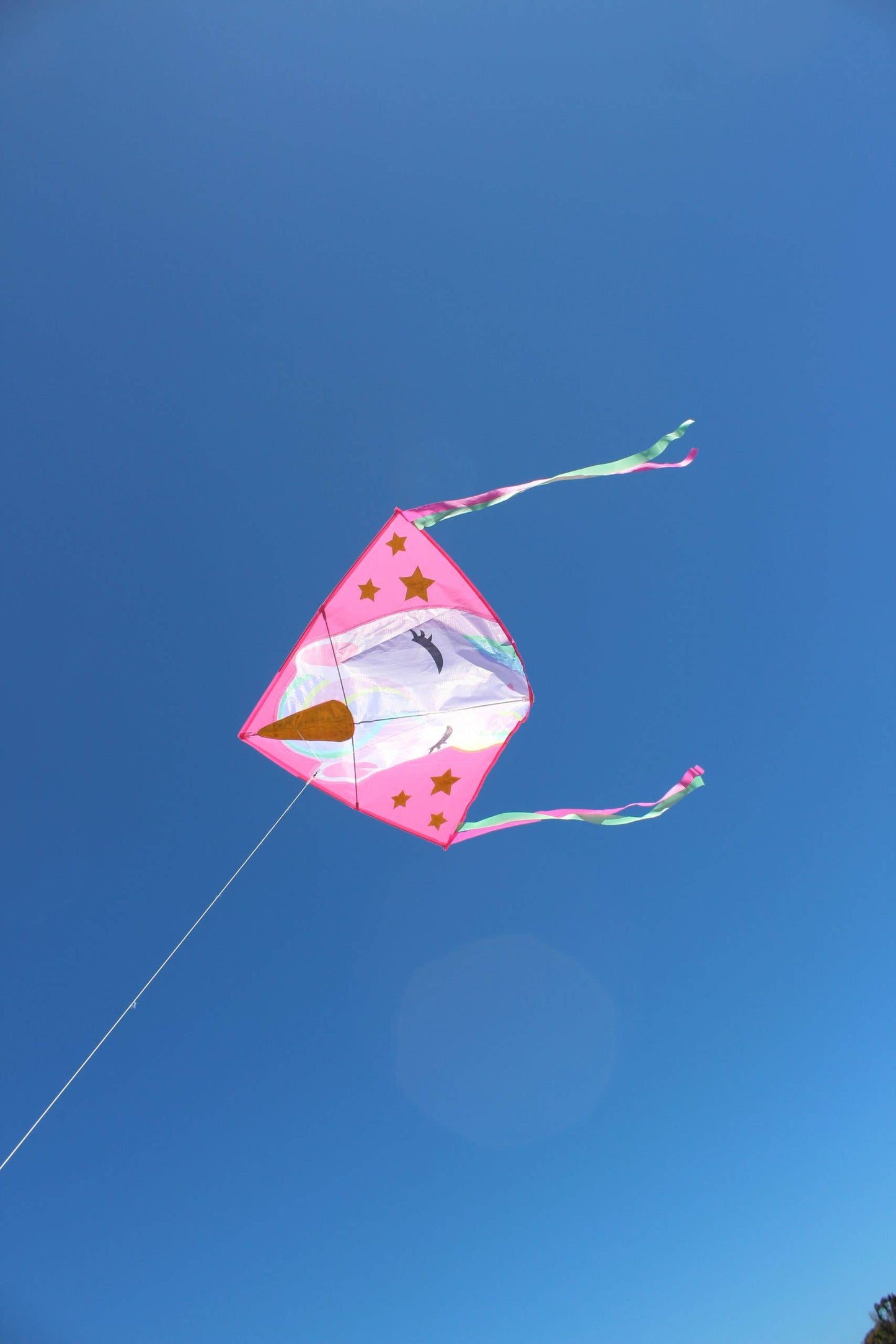 High as a Kite - Unicorn