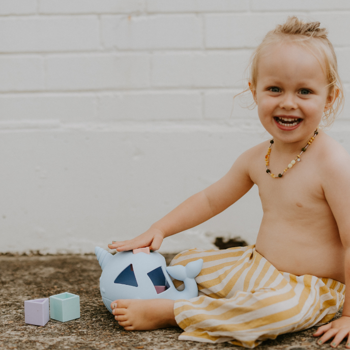 Jellystone Designs - Narwhal Shape Sorter