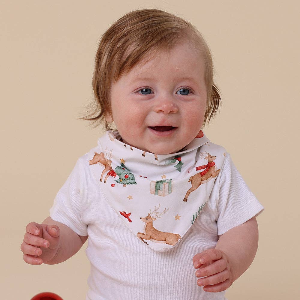 Snuggle Hunny - Prancer & Friends Organic Dribble Bib