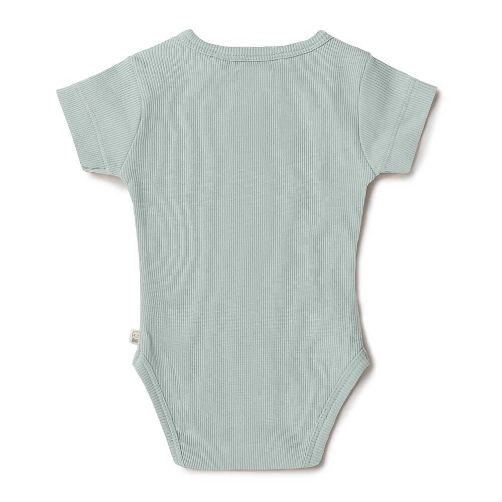 Snuggle Hunny - Sage Short Sleeve Organic Bodysuit
