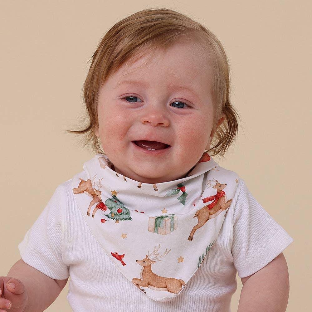Snuggle Hunny - Prancer & Friends Organic Dribble Bib