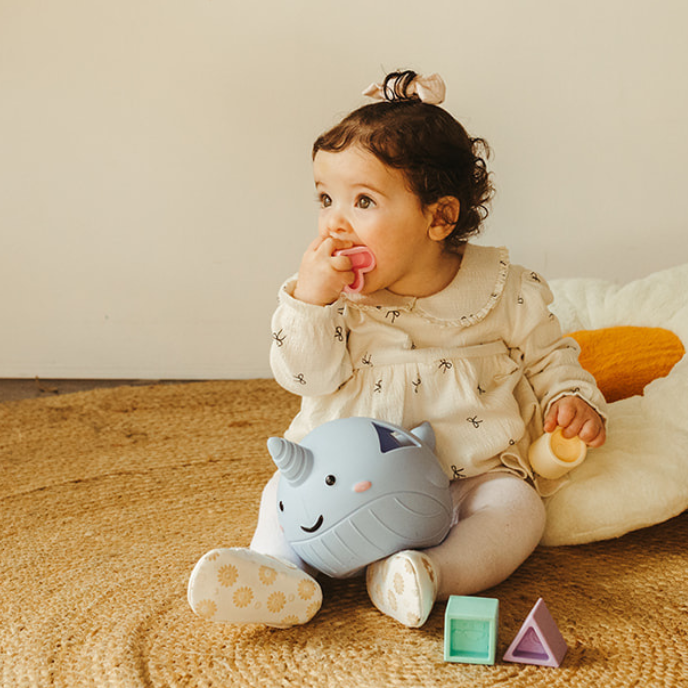 Jellystone Designs - Narwhal Shape Sorter