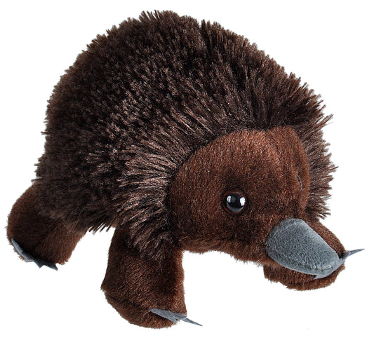 Wild Republic - Hug'Ems-Mini Echidna