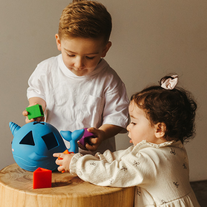 Jellystone Designs - Narwhal Shape Sorter