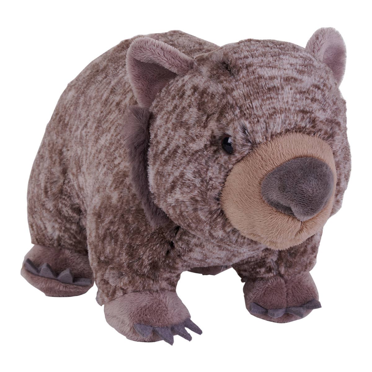 Cuddlekins Wombat
