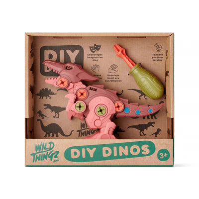 Wild Thingz - DIY Dino - Pterosaur - Bambam Kids Toys 