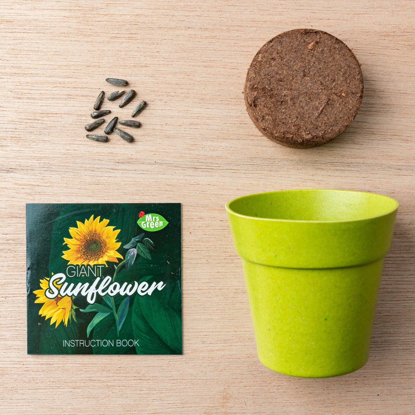 Giant Sunflower - Grow your own Sunflower