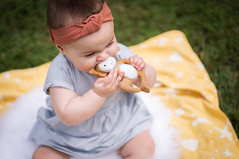 Tikiri Monkey Rubber Teether Rattle & Bath Toy