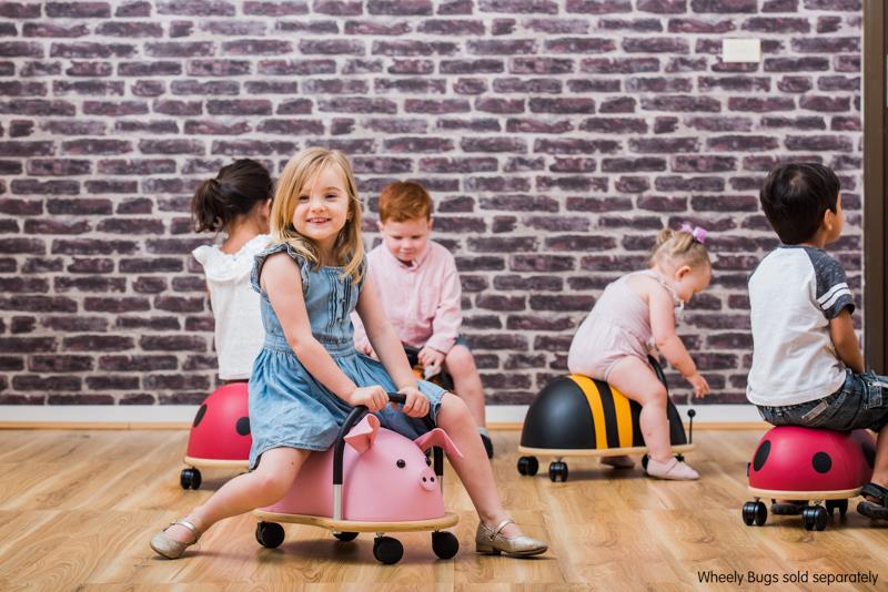 Large Pig Wheely Bug