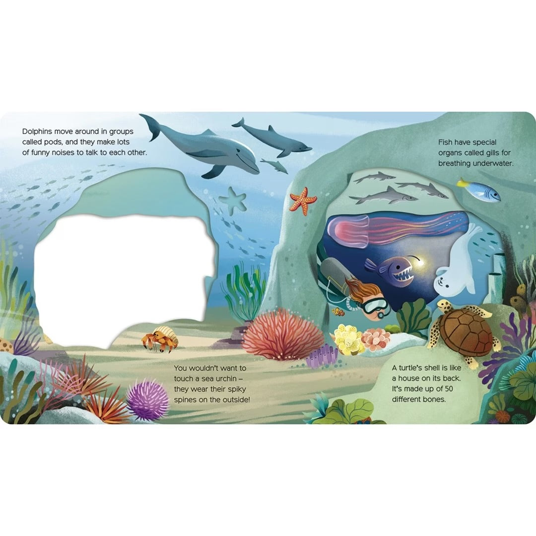 What Can You See? Under the Sea