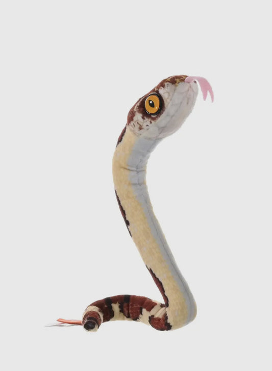 Coilkins Blunt Headed Tree Snake - Wild Republic
