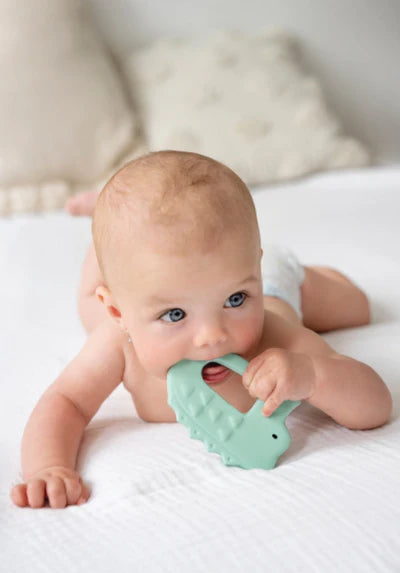 Tikiri Organic CrocodileTeether