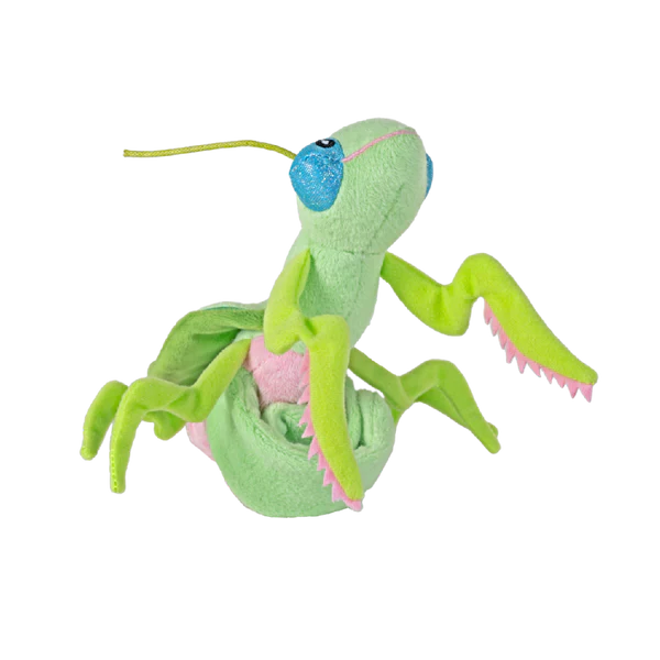 Huggers Praying Mantis