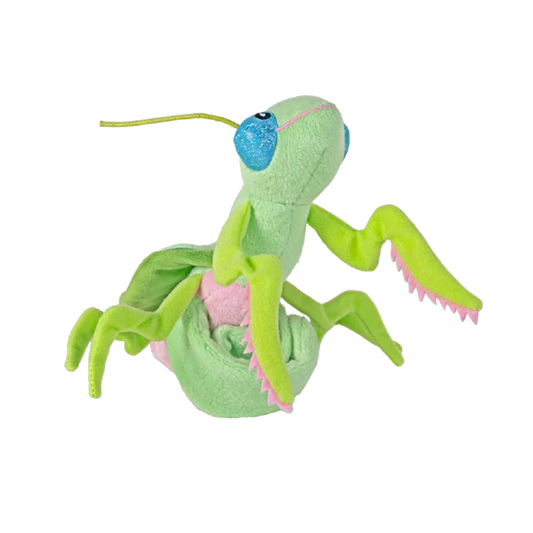 Huggers Praying Mantis