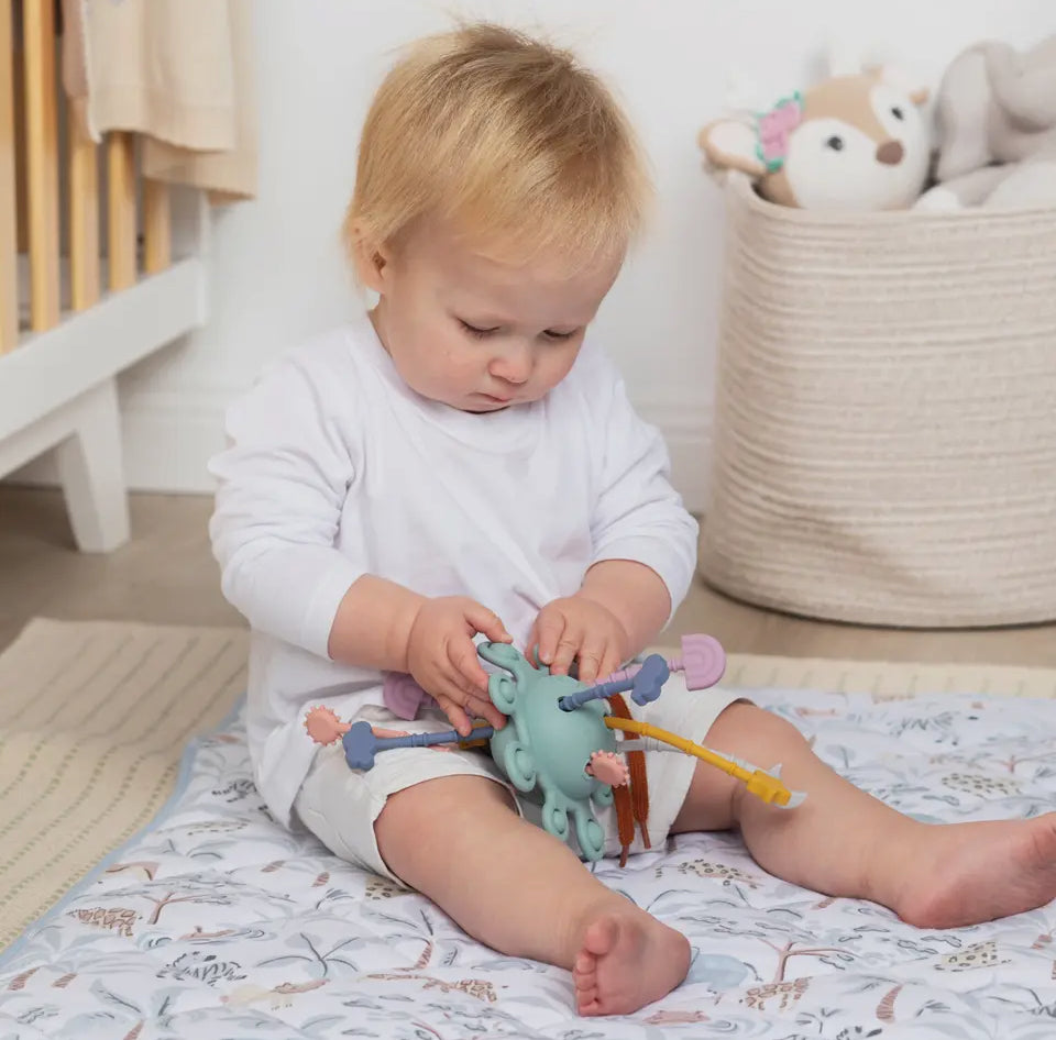 Pull String Interactive Toy - Dusty