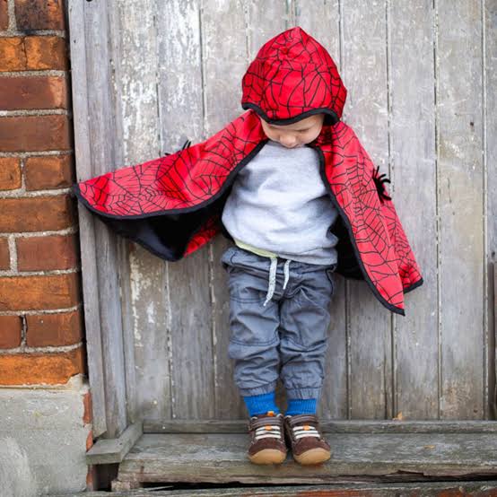 Toddler Reversible Spider & Bat Cape