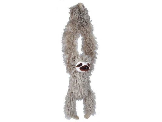 Hanging Monkey Three-Toed Sloth