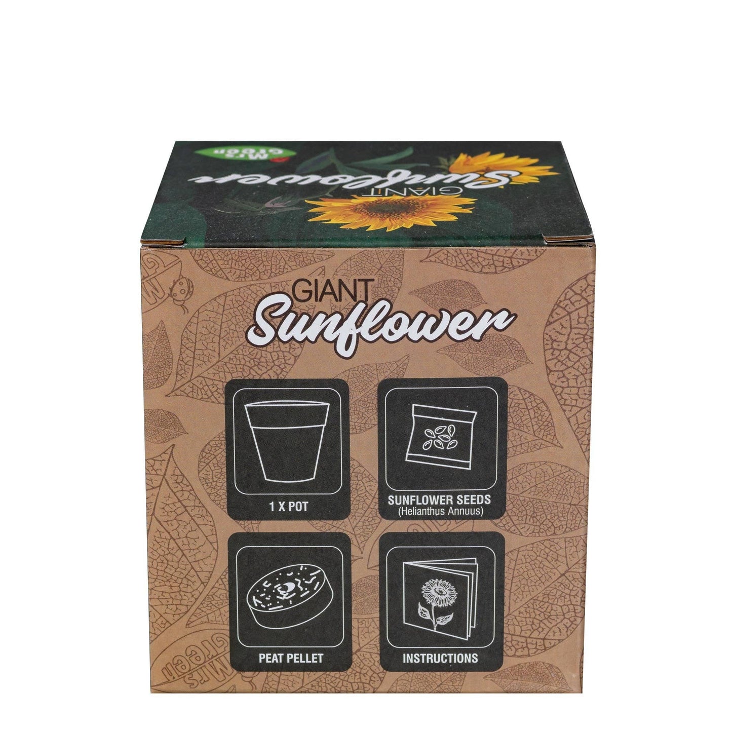 Giant Sunflower - Grow your own Sunflower