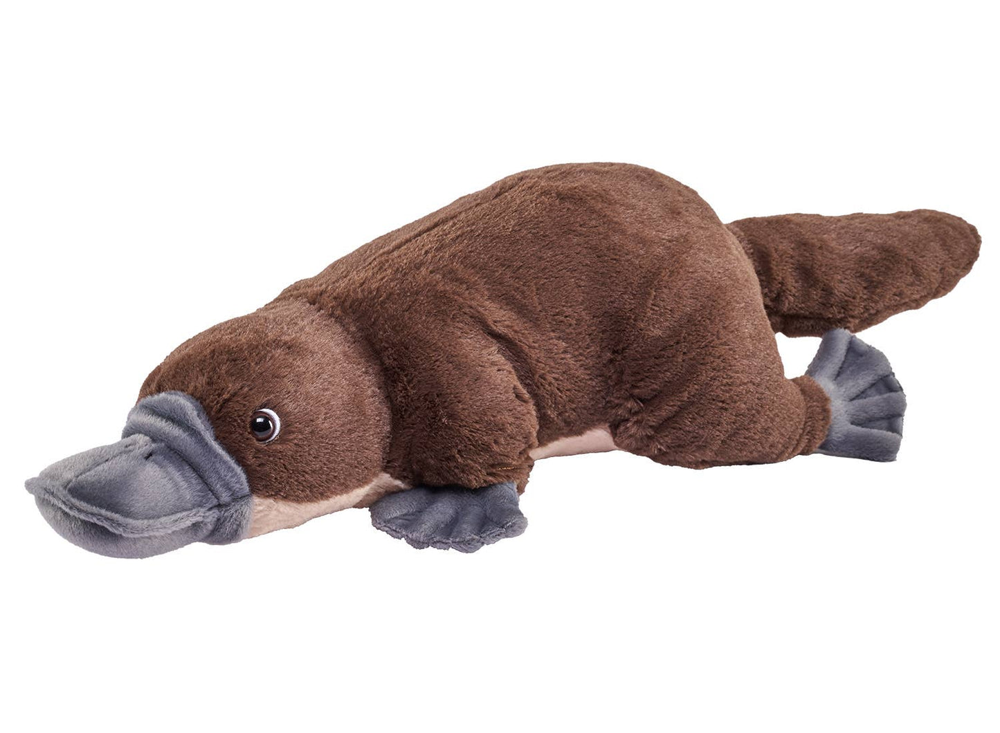 Cuddlekins Platypus
