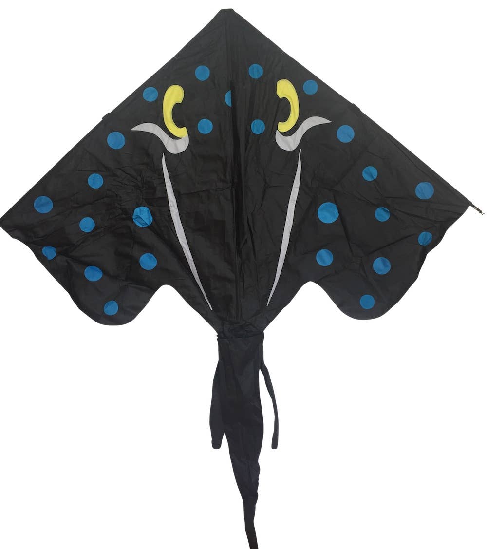 High as a Kite - Stingray