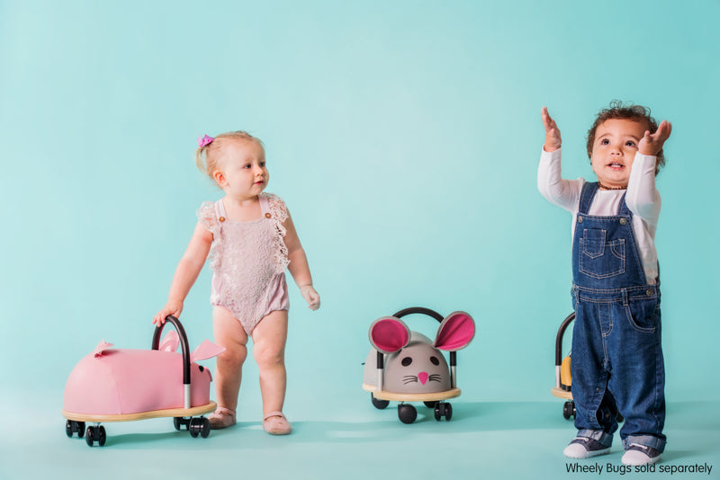 Small Mouse Wheely Bug