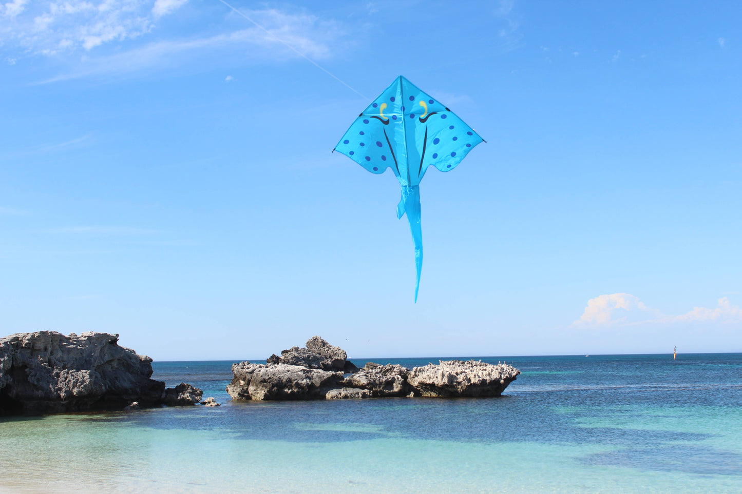 High as a Kite - Stingray