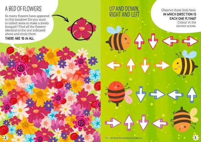 Sassi My FIrst Logic Game - Matching Flowers