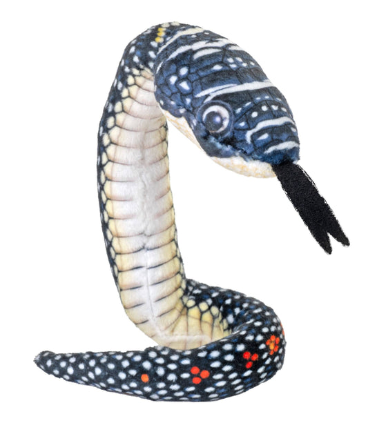 Coilkins Snake Paradise Flying Snake