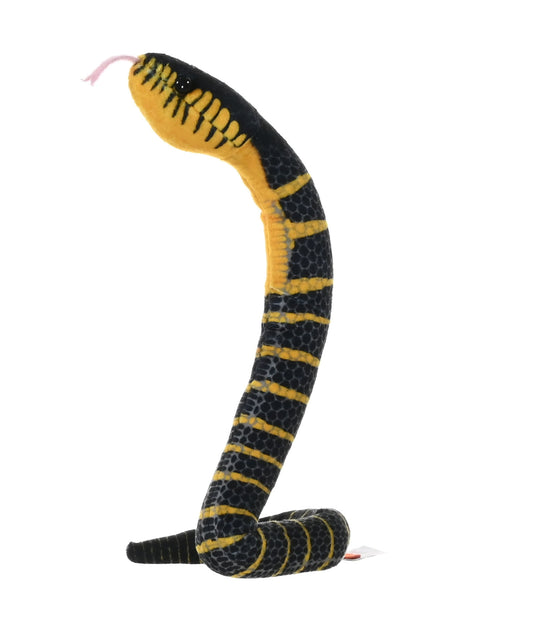 Coilkins Black Fanged Mangrove
