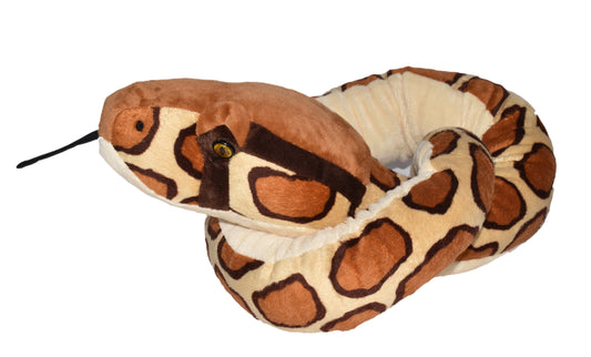 Snake Burmese Python