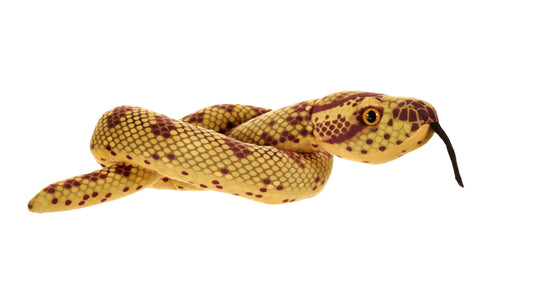 Snake Green Anaconda