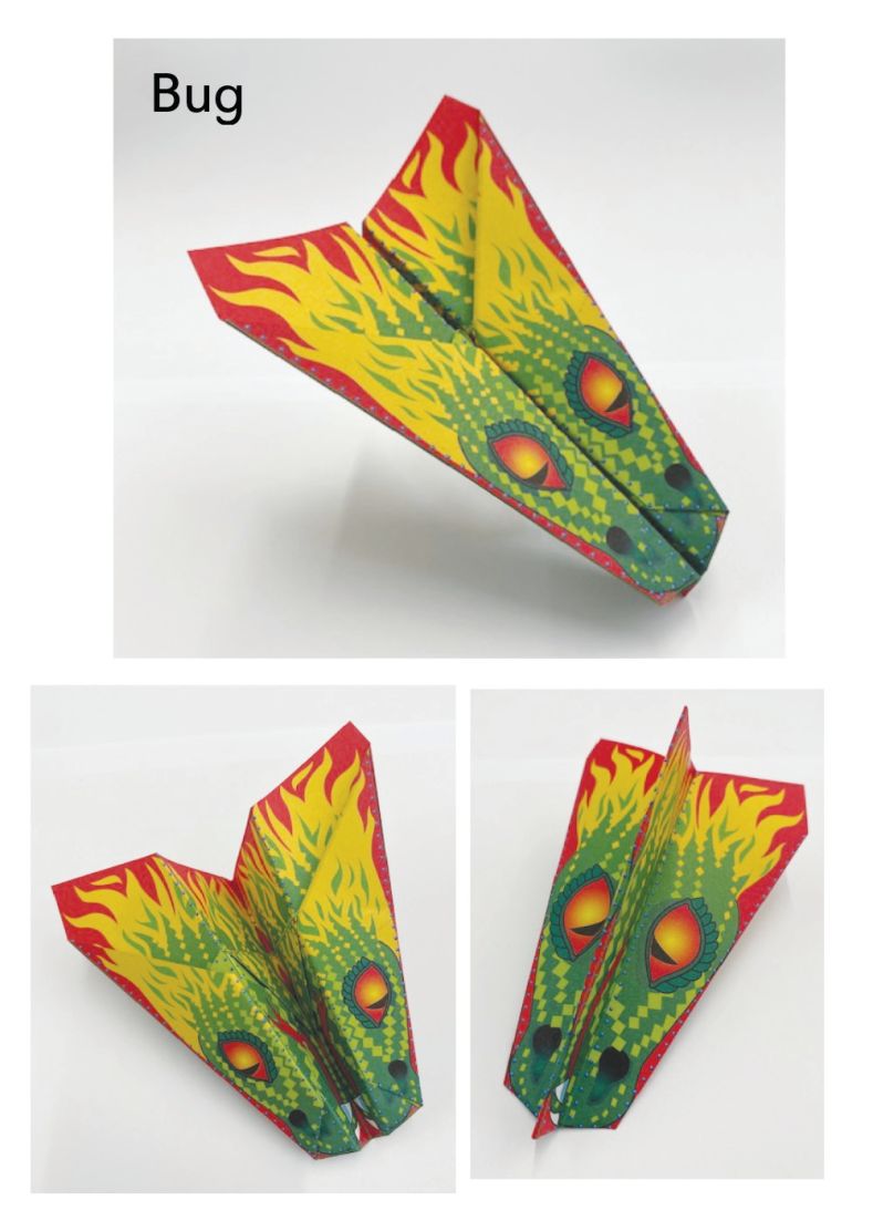 100 Paper Planes to Fold & Fly